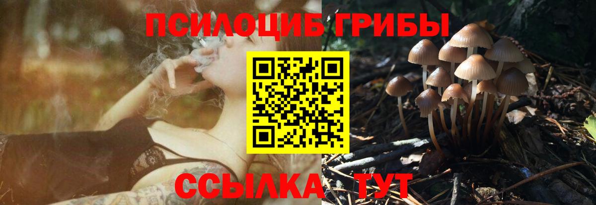 Орск  Галлюциногенные грибы GOLDEN TEACHER  Вход с VPN 